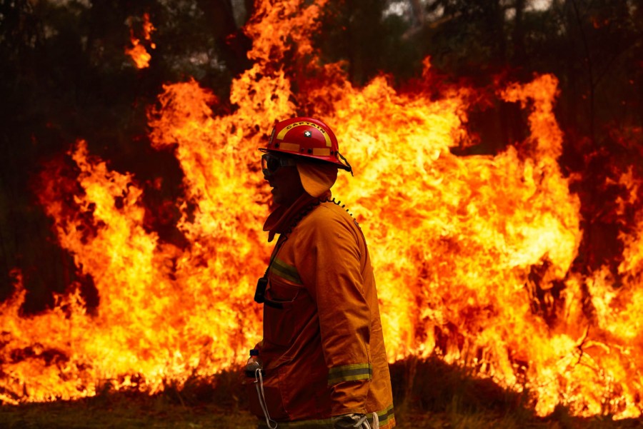 Αυστραλία: Τρία δισεκατομμύρια ζώα κάηκαν ή εκτοπίστηκαν στις καταστροφικές πυρκαγιές