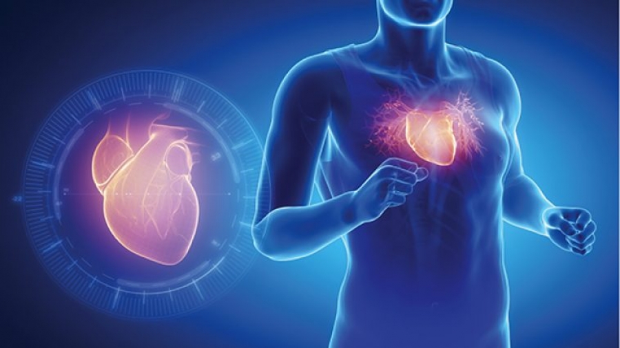 Άθληση και καρδιά: Τα σημαντικά οφέλη, ο πιθανός κίνδυνος και ο απαραίτητος προληπτικός καρδιολογικός έλεγχος