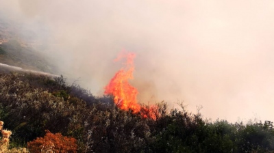 Πυρκαγιά σε δασική έκταση στο Λέπρεο Ηλείας - Μεγάλη επιχείρηση της Πυροσβεστικής