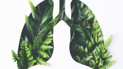 «Πνευμόνων Υγεία»: Το πρόγραμμα που σώζει ζωές