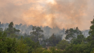Μεγάλη πυρκαγιά στην Κέρκυρα - Μήνυμα 112 για προληπτική απομάκρυνση των κατοίκων του οικισμού Βασιλικά