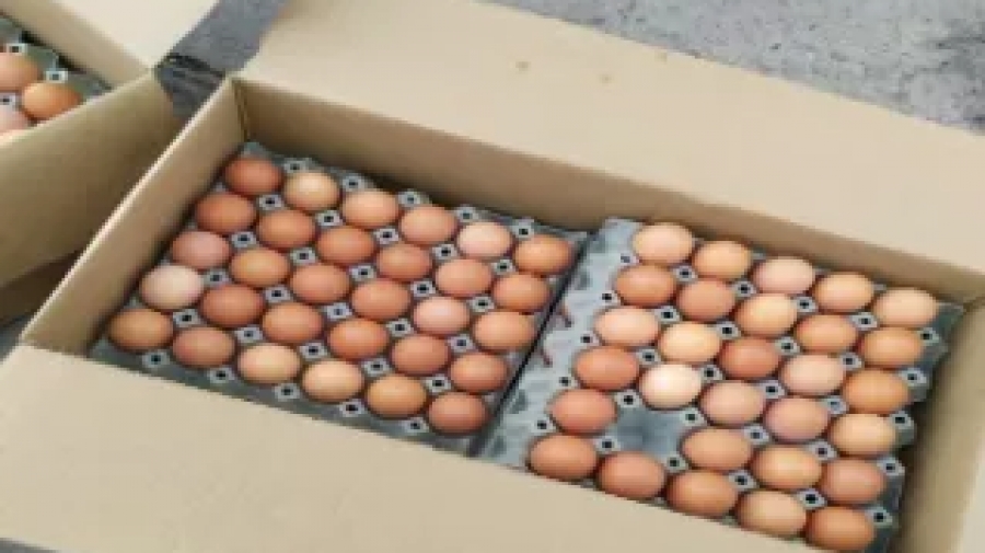 Έλεγχοι ΣΔΟΕ ενόψει Πάσχα: 300.000 «ελληνοποιημένα» αυγά Βουλγαρίας