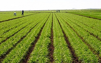 ΕΛΑΣΤΡΟΝ– ΧΡΗΣΗ 2017: Αύξηση κερδών, Ebitda, πωλήσεων αλλά και δανεισμού, αποθεμάτων και απαιτήσεων