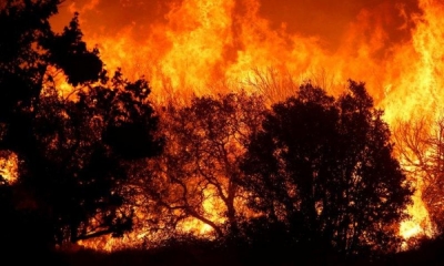 Ανεξέλεγκτη η φωτιά στο Ρέθυμνο - Ολονύχτια μάχη απέναντι στις φλόγες, με θυελλώδεις ανέμους που αλλάζουν κατευθύνσεις
