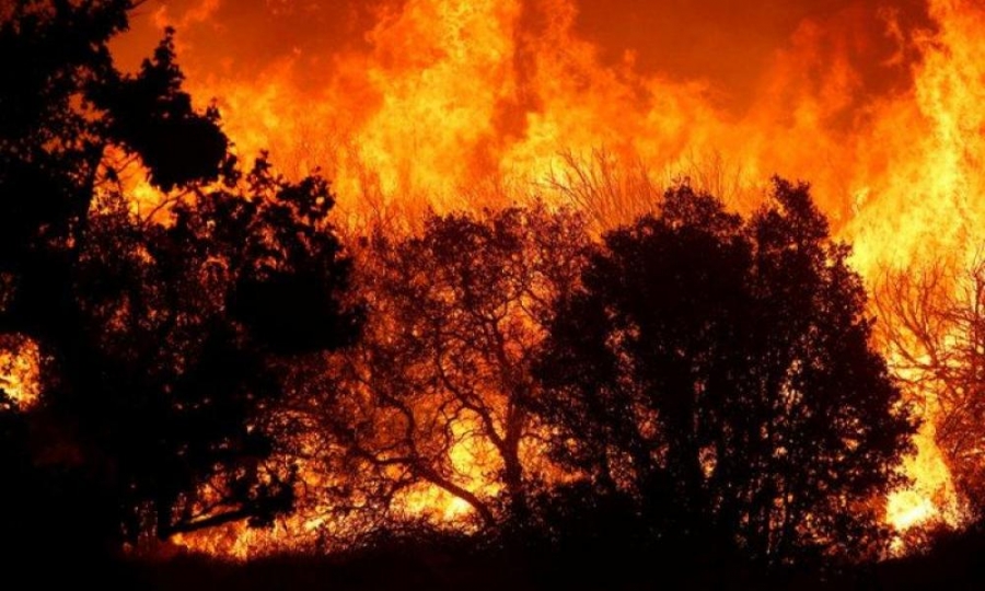 Ανεξέλεγκτη η φωτιά στο Ρέθυμνο - Ολονύχτια μάχη απέναντι στις φλόγες, με θυελλώδεις ανέμους που αλλάζουν κατευθύνσεις