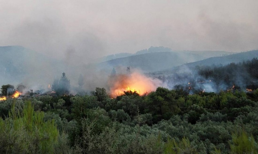 Ζάκυνθος: Σε ύφεση η πυρκαγιά ανάμεσα στα χωριά Κοιλιώμενος και Αγαλάς