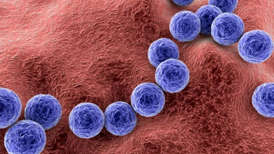 Ξαφνικός θάνατος παιδιού από νέο ιό στη Βρετανία - Πέθανε μέσα σε 3 ημέρες