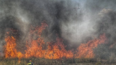 Από καύση ξύλων φαίνεται ότι ξεκίνησε η φονική πυρκαγιά την Ανατ. Αττική -  Πρόεδρος Πυροσβεστών: Δεν έγινε η εκκένωση που εισηγηθήκαμε