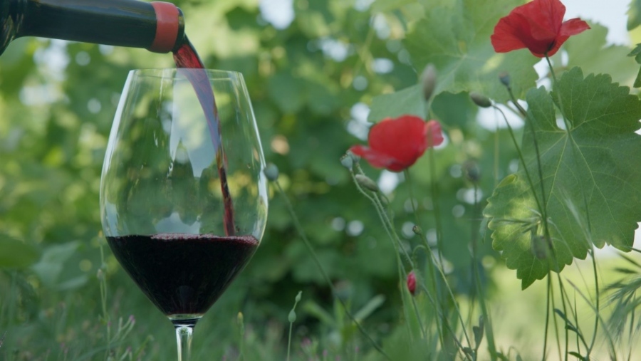 Υπουργός Οικονομικών καλεί τους πολίτες να... πίνουν κρασί για να αυξηθεί η κατανάλωση