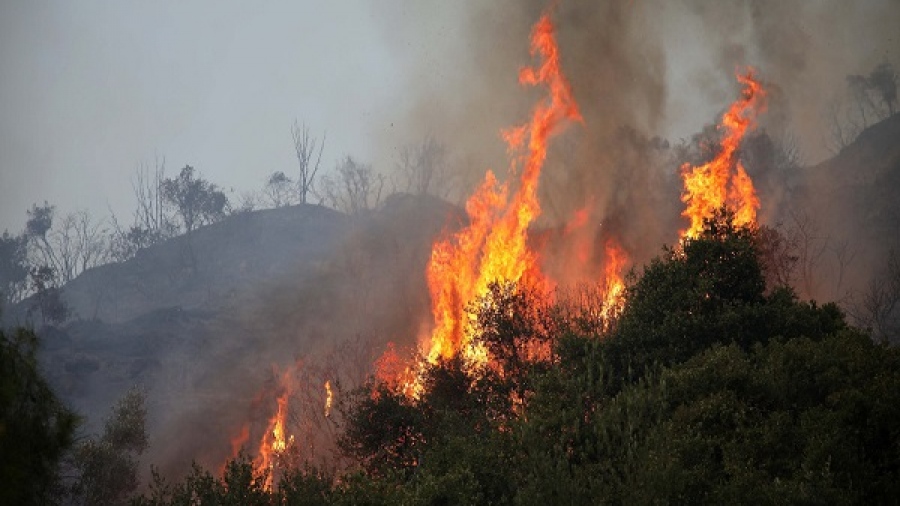 Πυρκαγιές: Φωτιά ξέσπασε στη Θήβα