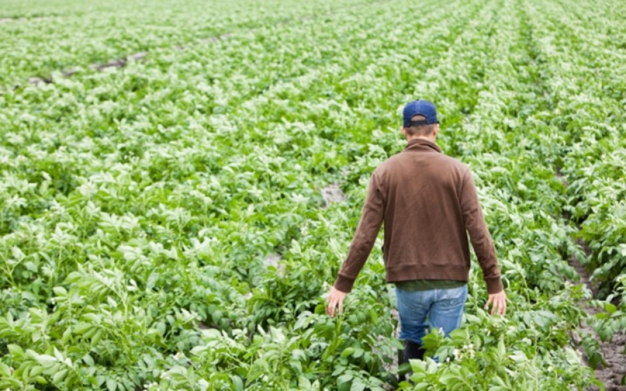 ΥΠΑΑΤ: Aρχίζει η καταβολή της α’ δόσης των επιλαχόντων δικαιούχων «Νέων Αγροτών»