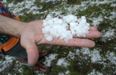 Αγρίνιο: Καταστράφηκε το 40% της παραγωγής σε ελιά και εσπεριδοειδή - Στον «αέρα» οι οικογένειες