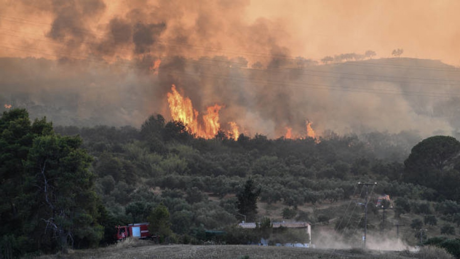 Πυρκαγιές: Αναφορές για εγκλωβισμό εργαζομένων σε εργοστάσιο χάρτου στο Σέσκλο Βόλου