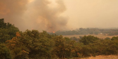 Υπό μερικό έλεγχο η πυρκαγιά σε δασική έκταση στις Φέρες Έβρου