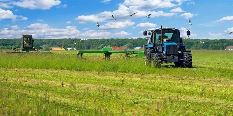 ΕΛΣΤΑΤ: Άνοδος 2,2% του δείκτη τιμών εκροών στη γεωργία το Σεπτέμβριο του 2018