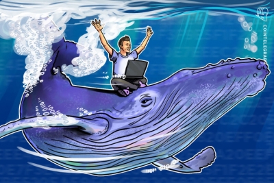 Σε επίπεδα ρεκόρ οι «φάλαινες» που κατέχουν bitcoin - Συνεχίζεται η bull market