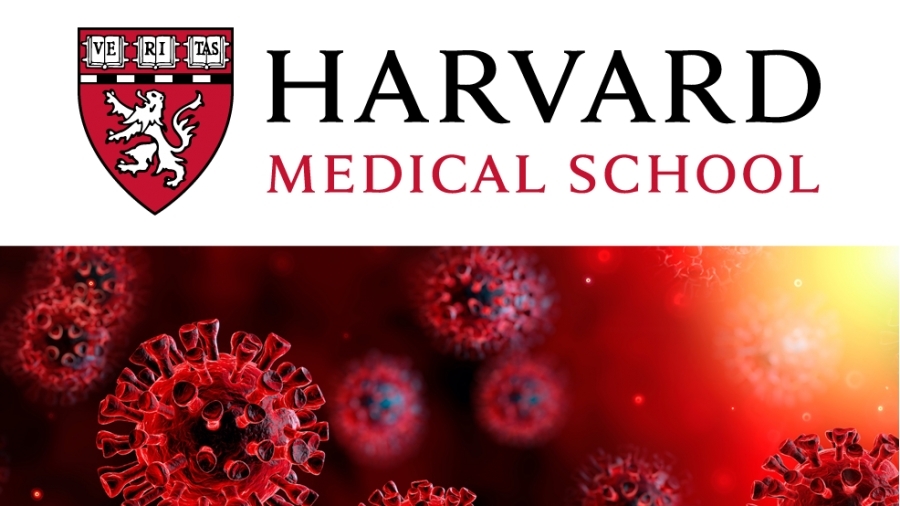 Μελέτη Harvard: Τουλάχιστον 16.600 θάνατοι από Covid σε γηροκομεία, δεν έχουν καταμετρηθεί στον επίσημο απολογισμό των ΗΠΑ