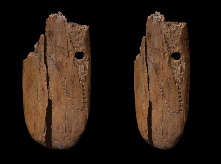 Ανακαλύφθηκε το αρχαιότερο στην Ευρώπη κρεμαστό κόσμημα - Είναι 41.500 ετών