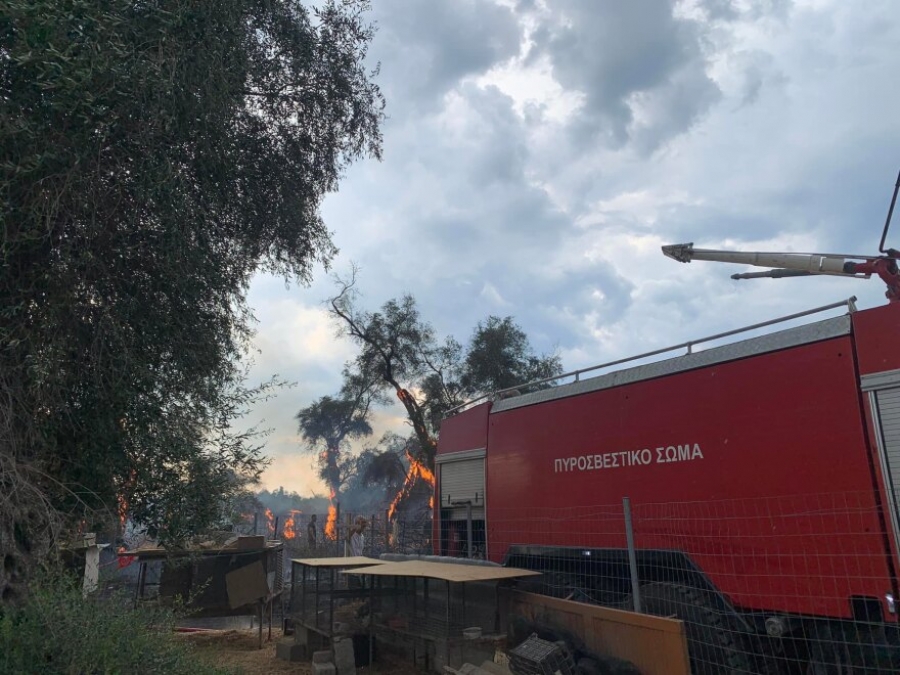 Κέρκυρα: Σε ύφεση η πυρκαγιά στην περιοχή της Λευκίμμης