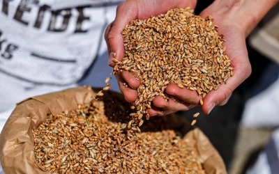 Ανοίγει αύριο 27/7 στην Κωνσταντινούπολη το κέντρο συντονισμού για τις εξαγωγές ουκρανικών σιτηρών