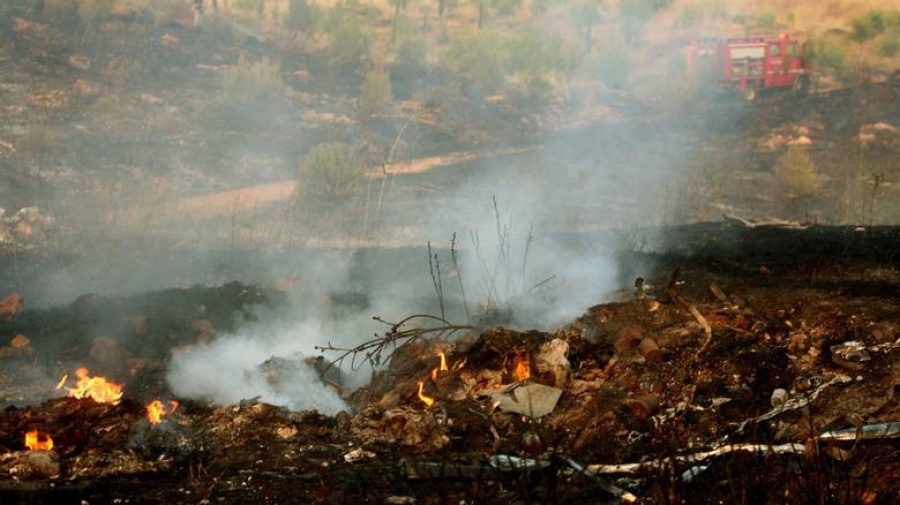 Συνελήφθη  35χρονος για εμπρησμούς στον Μαραθώνα - Είχε βάλει πέντε φωτιές δύο από τις οποίες στις 26/7