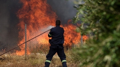 Πάτρα: Ισχυρές πυροσβεστικές δυνάμεις επιχειρούν στο μέτωπο της φωτιάς στην περιοχή Καλλιθέα