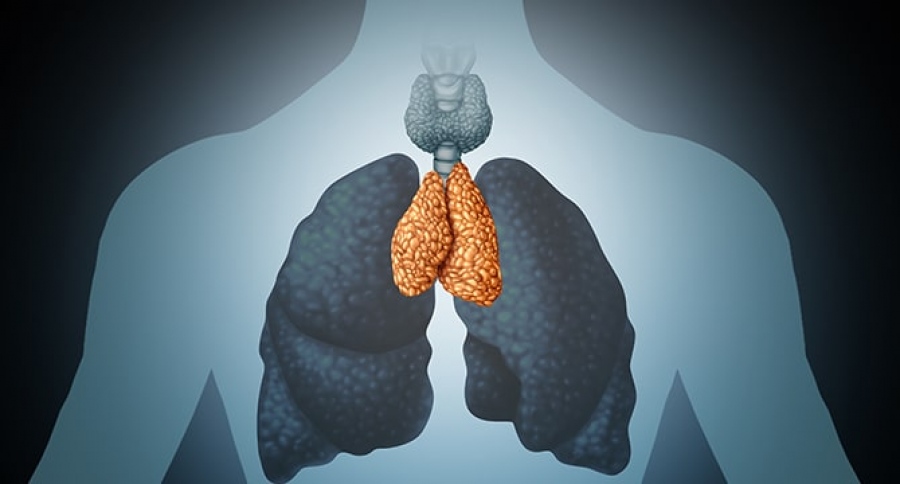 Η απόλυτη ανατροπή: Το «άχρηστο» όργανο που συχνά αφαιρούν οι γιατροί μπορεί να καταπολεμήσει τον καρκίνο