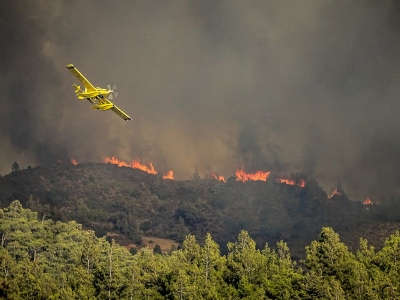 Πυροσβεστική: 500 πυρκαγιές από τις 13 Ιουλίου – Πάνω από 105 συλλήψεις