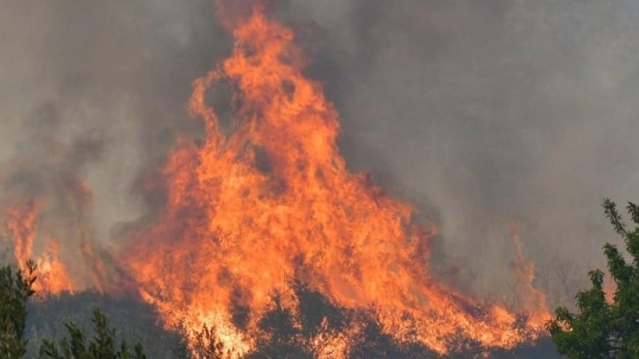 Μεγάλη πυρκαγιά στη Μαγούλα – Ισχυρές δυνάμεις της Πυροσβεστικής στο σημείο