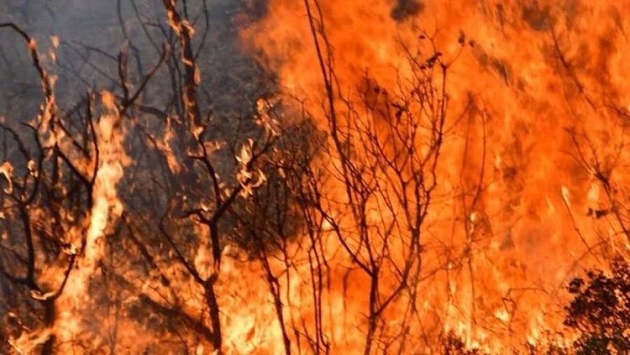 Σε ύφεση η φωτιά στην Λυνίσταινα – Καλή εικόνα στις πυρκαγιές σε Αγία Κυριακή και Ελληνοχώρι
