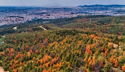 Θεσσαλονίκη: Απαγόρευση κυκλοφορίας στο Σέιχ Σου λόγω κινδύνου πυρκαγιάς την Κυριακή (20/8)