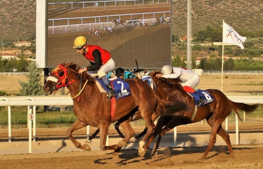 Markopoulo Park: Περισσότερα από 7.000 ευρώ για 7 νικητές στο ΣΚΟΡ 6