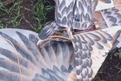 Ένα ουκρανικό UAV μεταμφιεσμένο σε αετό αναχαιτίστηκε πάνω από το Donetsk - Ρωσία: Το εξουδετερώσαμε