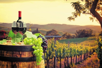 Κατέρρευσε 35% η παραγωγή κρασιού στην Ελλάδα την περίοδο 2023 - 2024, «βουτιά» σε ιστορικό χαμηλό