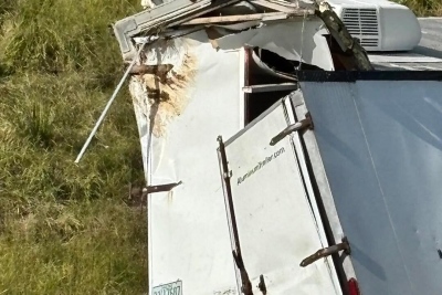 Άγρια μαϊμού με ηπατίτιδα και Covid το έσκασε μετά από ατύχημα στο φορτηγό που τη μετέφερε