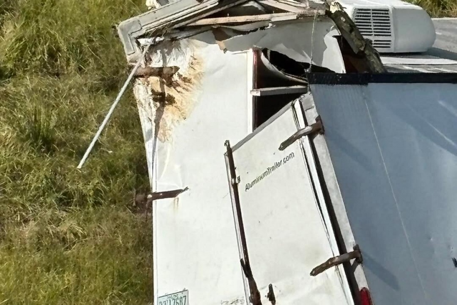 Άγρια μαϊμού με ηπατίτιδα και Covid το έσκασε μετά από ατύχημα στο φορτηγό που τη μετέφερε