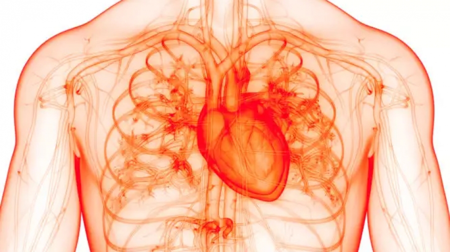 Θεραπεία της Κολπικής Μαρμαρυγής: Ζούμε καλύτερα, ζούμε περισσότερο, με σύμμαχό μας την Επιστήμη και την Τεχνολογία