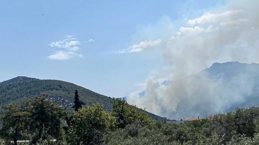 Θάσος: Υπό πλήρη έλεγχο η φωτιά που ξέσπασε στο νησί