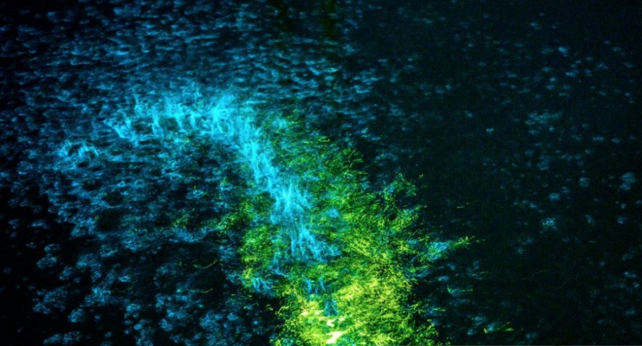 Σοκ! - Δείγμα επερχόμενης καταστροφής - Ο ωκεανός λάμπει τη νύχτα, ο πλανήτης μεταμορφώνεται!