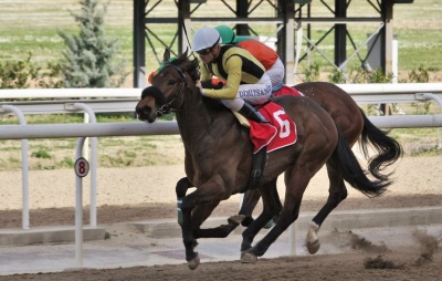 Τζακ ποτ στο ΣΚΟΡ 6 – Περισσότερα από 50.000 ευρώ στην επόμενη ιπποδρομιακή συγκέντρωση