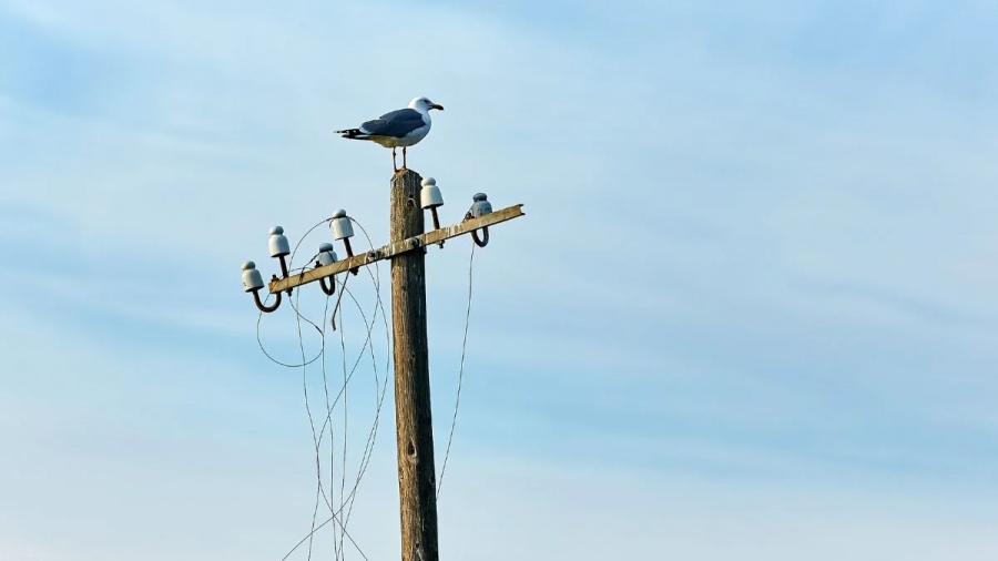 Διακοπή ρεύματος σήμερα 12/4 σε πολλά σημεία της Αθήνας