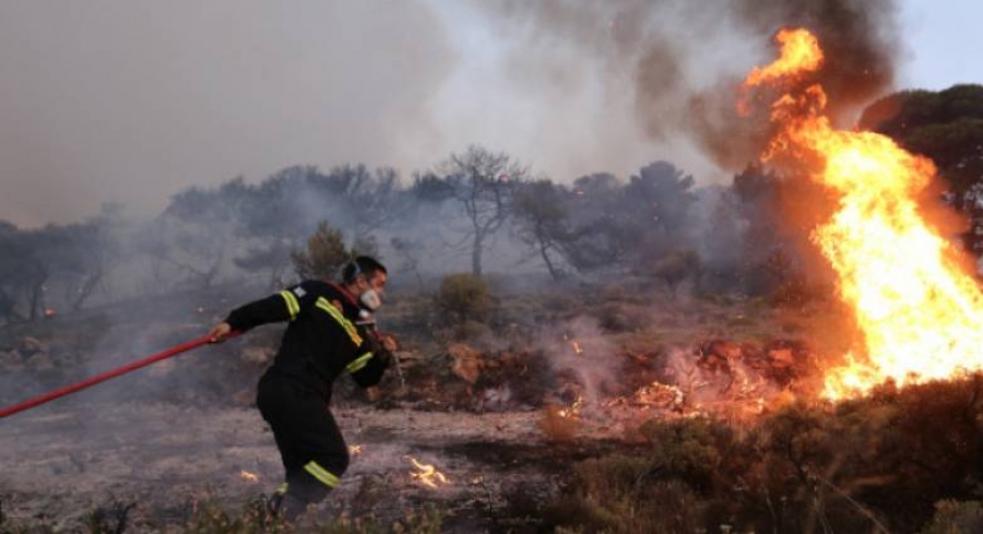 Υπό μερικό έλεγχο η φωτιά στη θέση Βελά Αιγιαλείας στην Αχαΐα