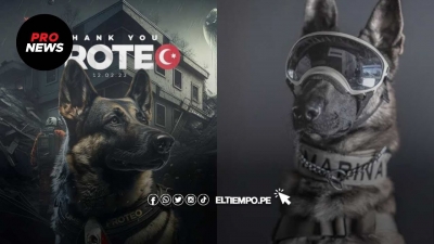 Σεισμός στην Τουρκία: Πέθανε εν ώρα καθήκοντος ο Proteo, ο σκύλος διασώστης που έφτασε από το Μεξικό