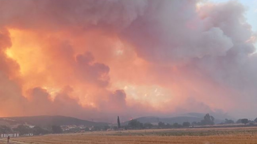 Τα 13 μέτρα για τη στήριξη των πυρόπληκτων περιοχών στην Έβρο – Τι περιλαμβάνουν, τι γίνεται με τις αποζημιώσεις