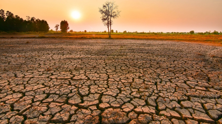Κίνδυνος για επισιτιστική κρίση - Ξηρασία και περιορισμένες εξαγωγές επιβαρύνουν τις τιμές τροφίμων και το 2024
