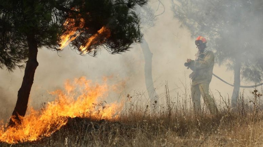 Ηλεία: Φωτιά στην περιοχή Ανεμοχώρι - Σε ύφεση η πυρκαγιά στην Αρχαία Ολυμπία