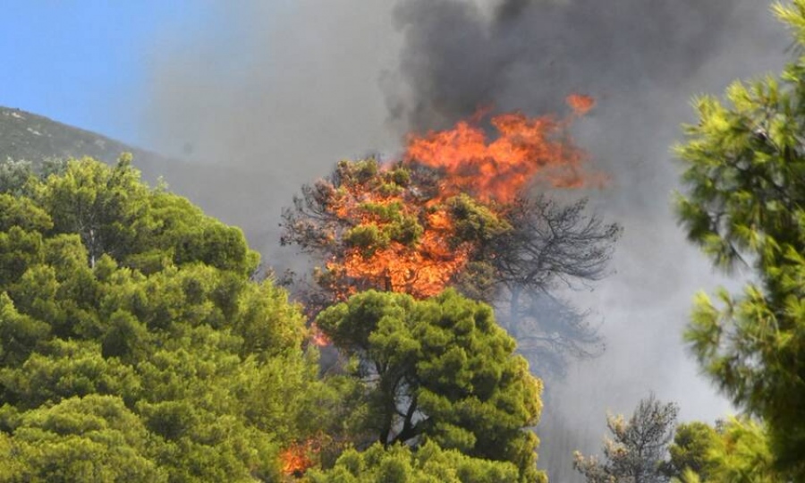 Κόκκινος συναγερμός στην Πυροσβεστική –  Κλήθηκε να αντιμετωπίσει 37 πυρκαγιές μέσα σε ένα 24ωρο