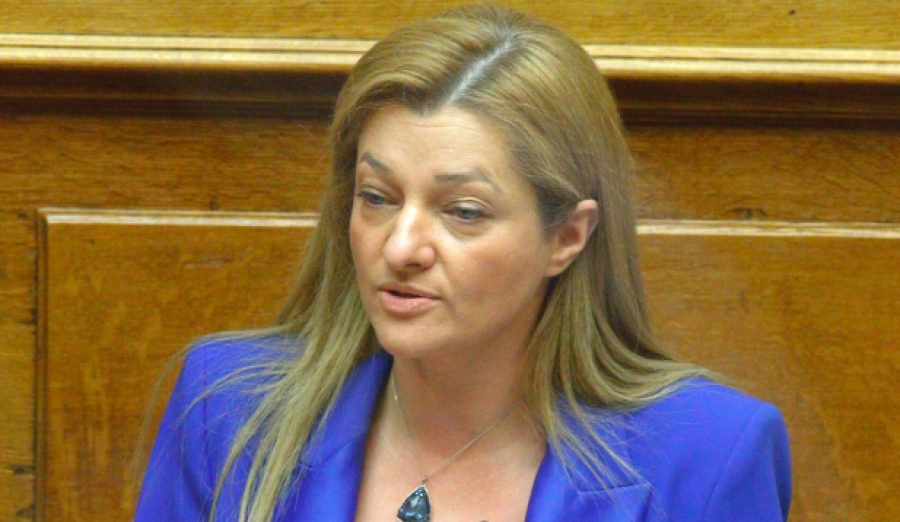 Αυγερινοπούλου (πρόεδρος Επιτροπής Περιβάλλοντος Βουλής): Δράση τώρα για την επίτευξη κλιματικής ουδετερότητας μέχρι το 2050