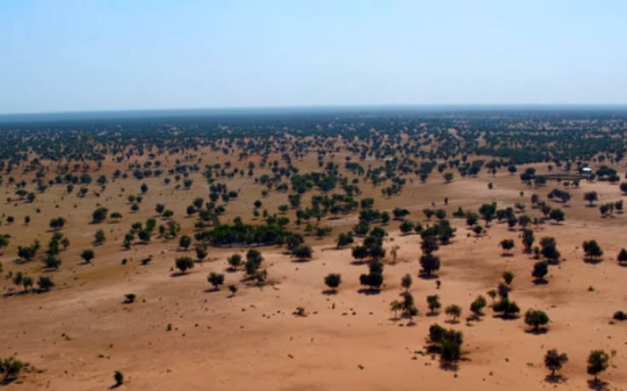 Οι αφρικανικές χώρες ενώνονται για το «Μεγάλο Πράσινο Τείχος»