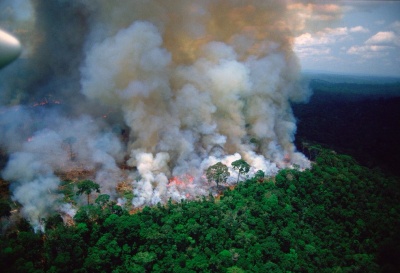Ο Αμαζόνιος φλέγεται - Ρεκόρ πυρκαγιών το 2019